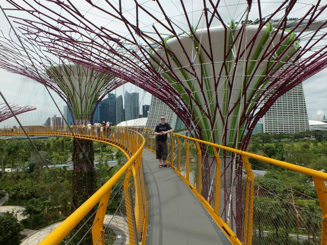 Supertrees, Gardens by the Bay, Singapore
