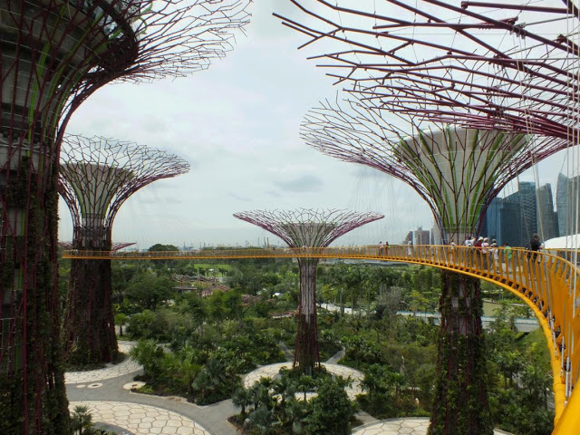 Supertrees, Gardens by the Bay, Singapore