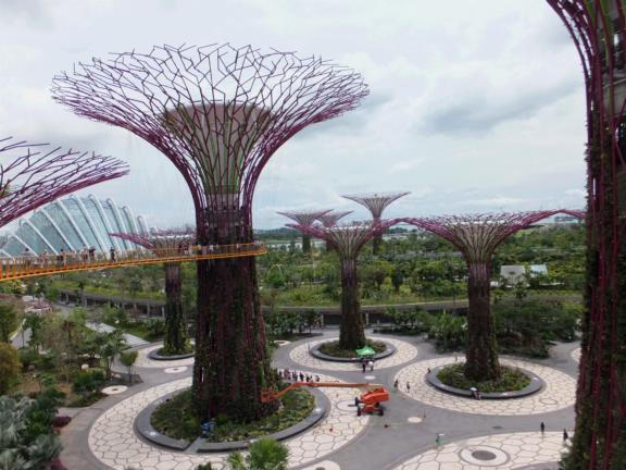 Supertrees, Gardens by the Bay, Singapore