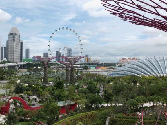 Supertrees, Gardens by the Bay, Singapore