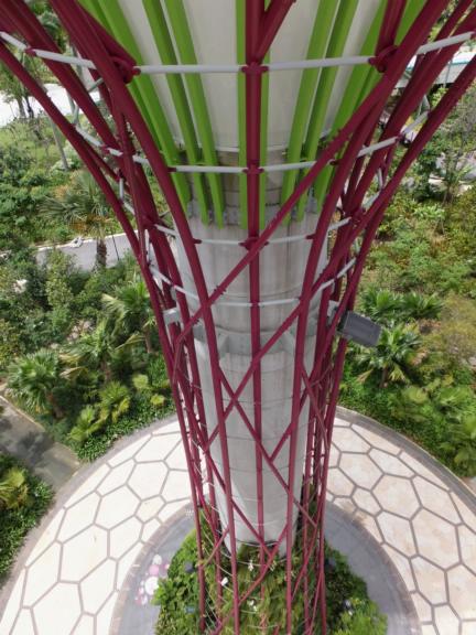 Supertrees, Gardens by the Bay, Singapore