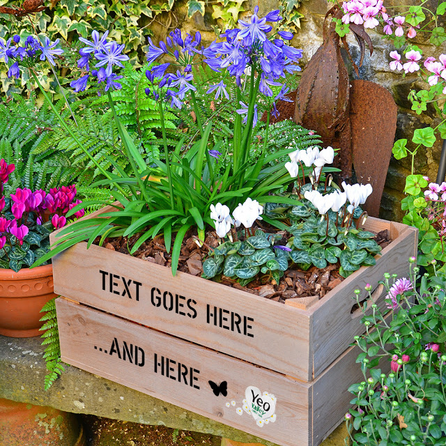 Plantabox from Yeo Valley Competition