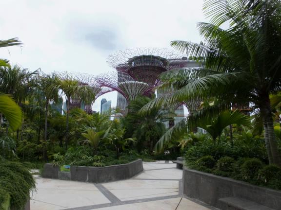 Supertrees, Gardens by the Bay, Singapore