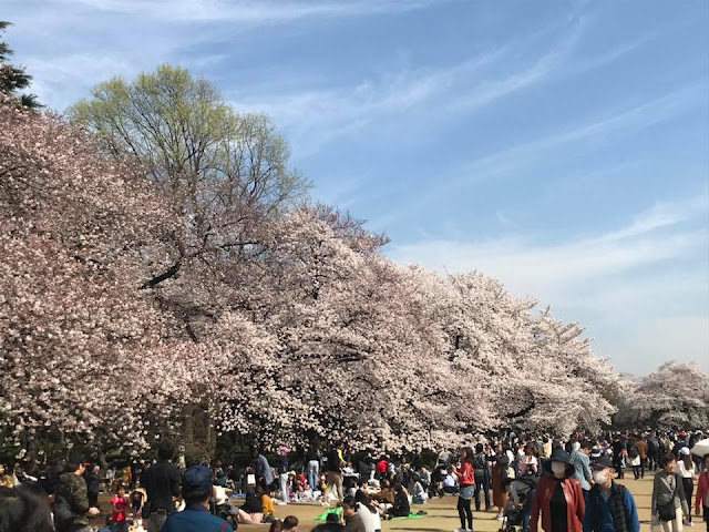 Shinjuku Gyoen
