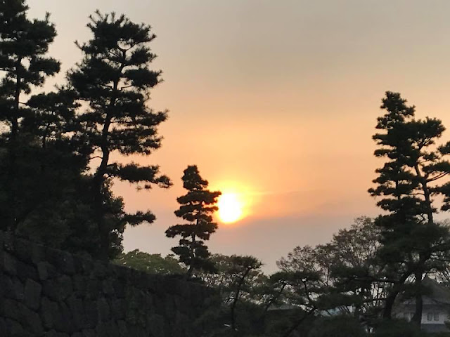 Tokyo Imperial Gardens at Sunset