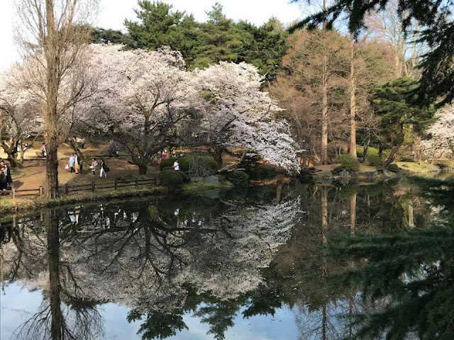 Shinjuku Gyoen Lake