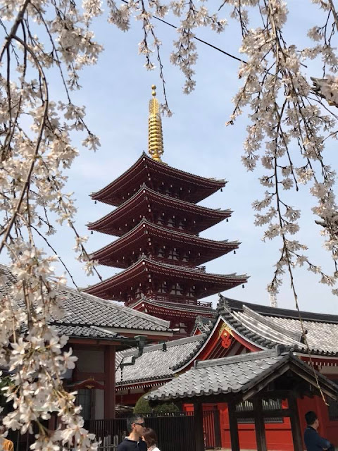 Sensoji Temple