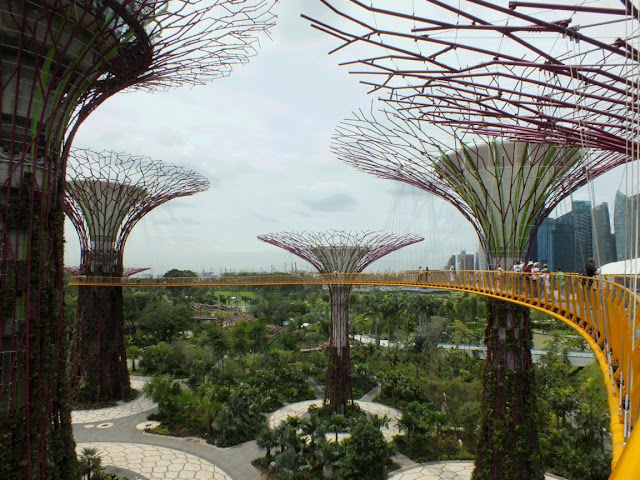 Supertrees, Gardens by the Bay, Singapore