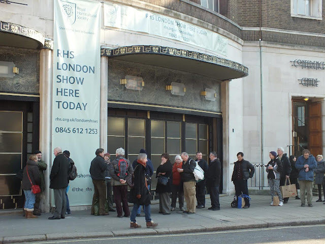 RHS London Plant and Design Show 2013
