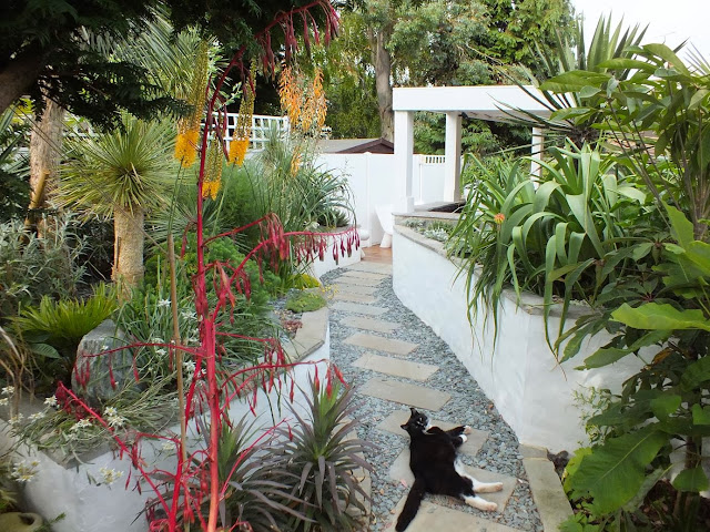 Exotic planting approaching the new Koi Pond