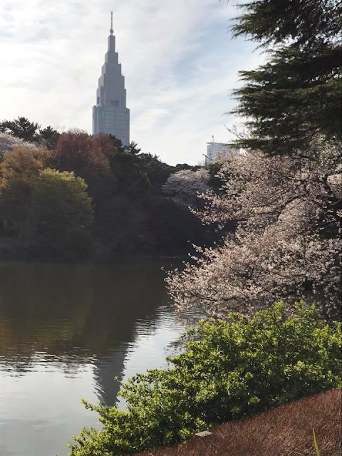 NTT Building from Shinjuku Gyoen 
